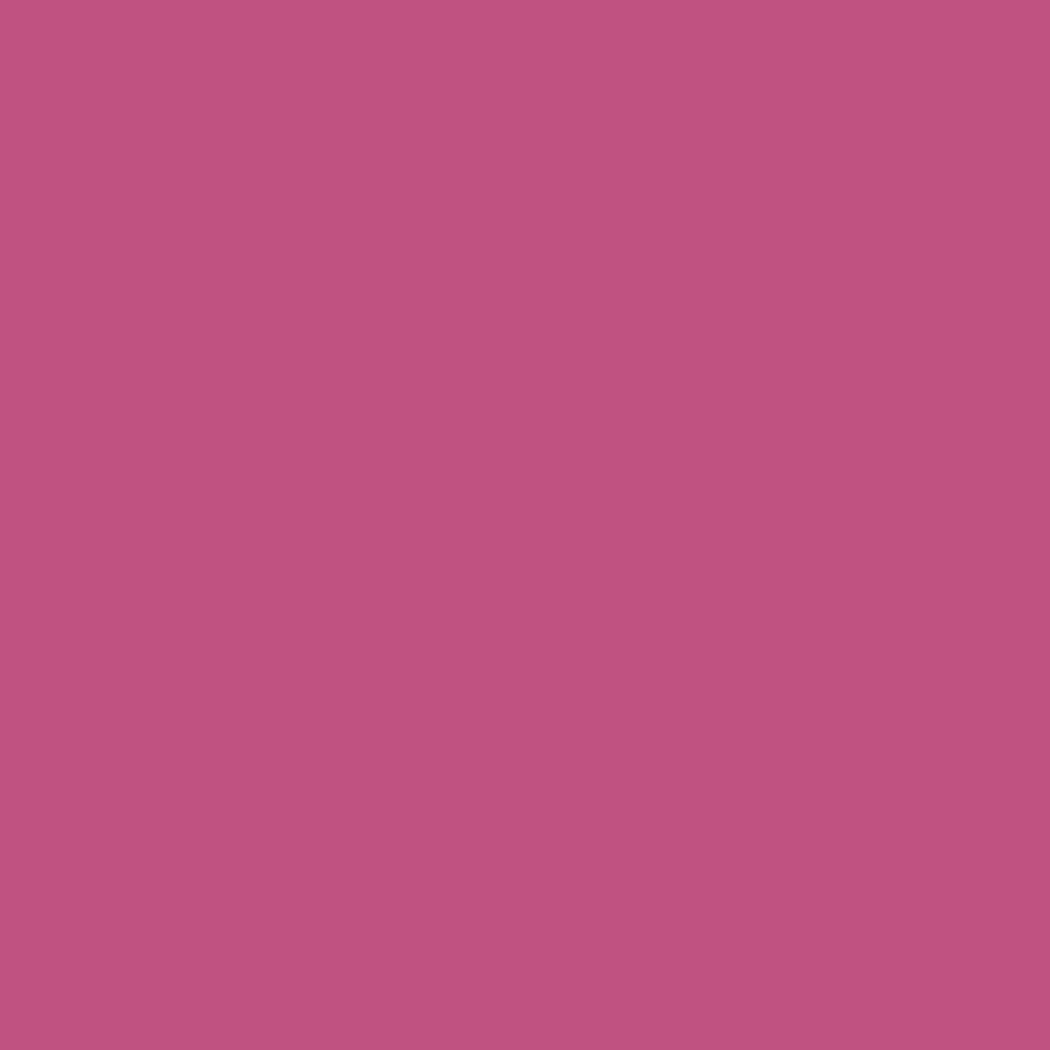 Tinta RAL 4010 magenta tele, 1L
