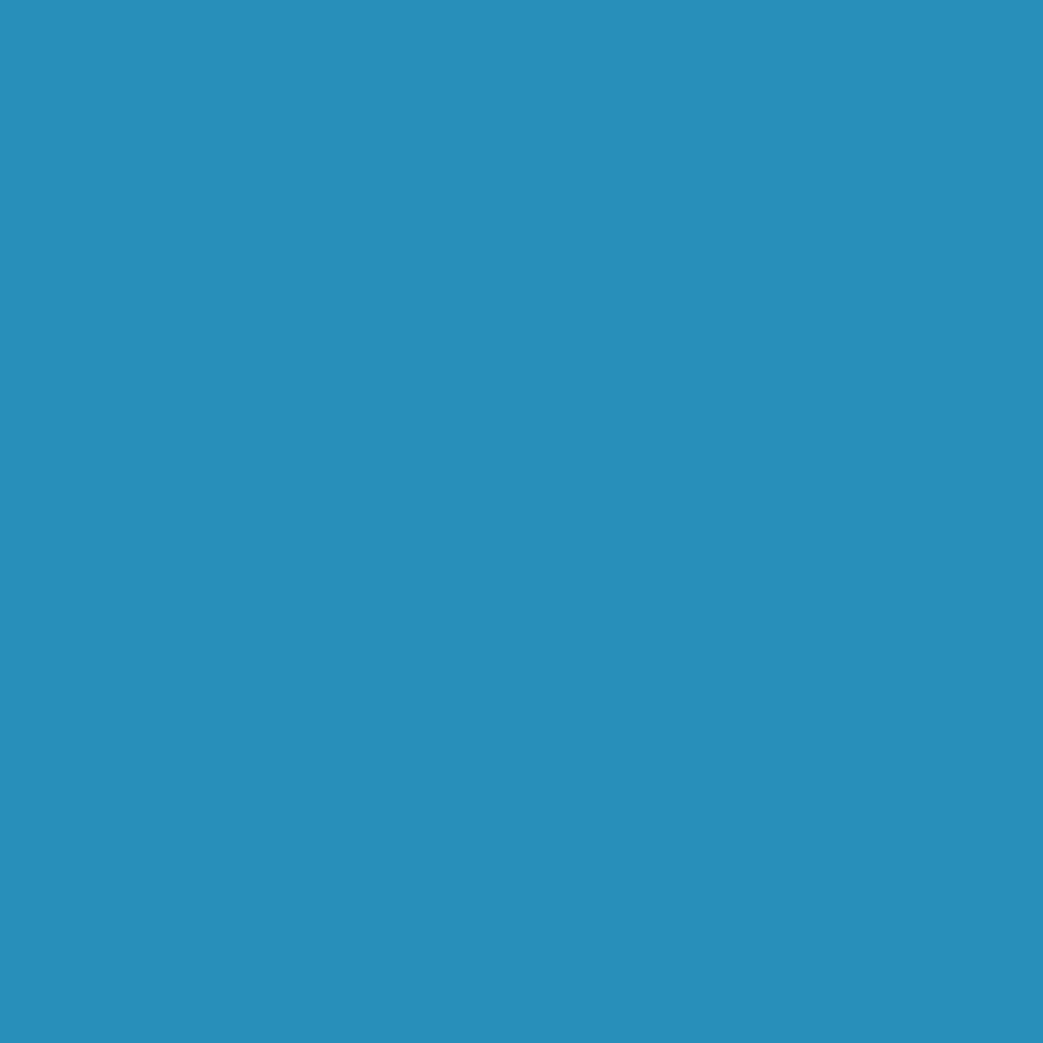 Tinta RAL5012 azul claro 1L – 501208KR