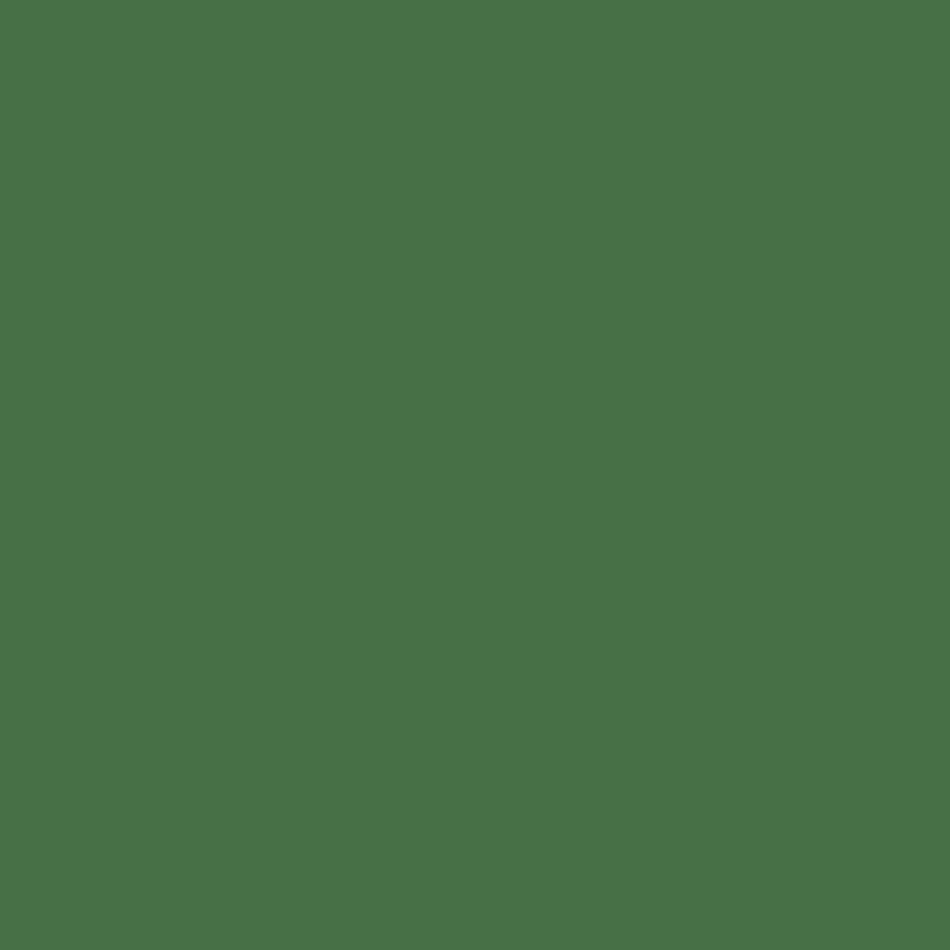 Tinta RAL 6001 verde esmeralda 1 L