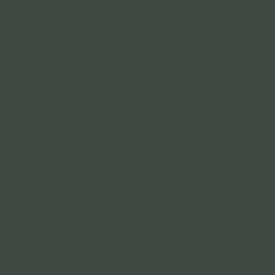 Tinta RAL6009 verde abeto 1L – 600908KR