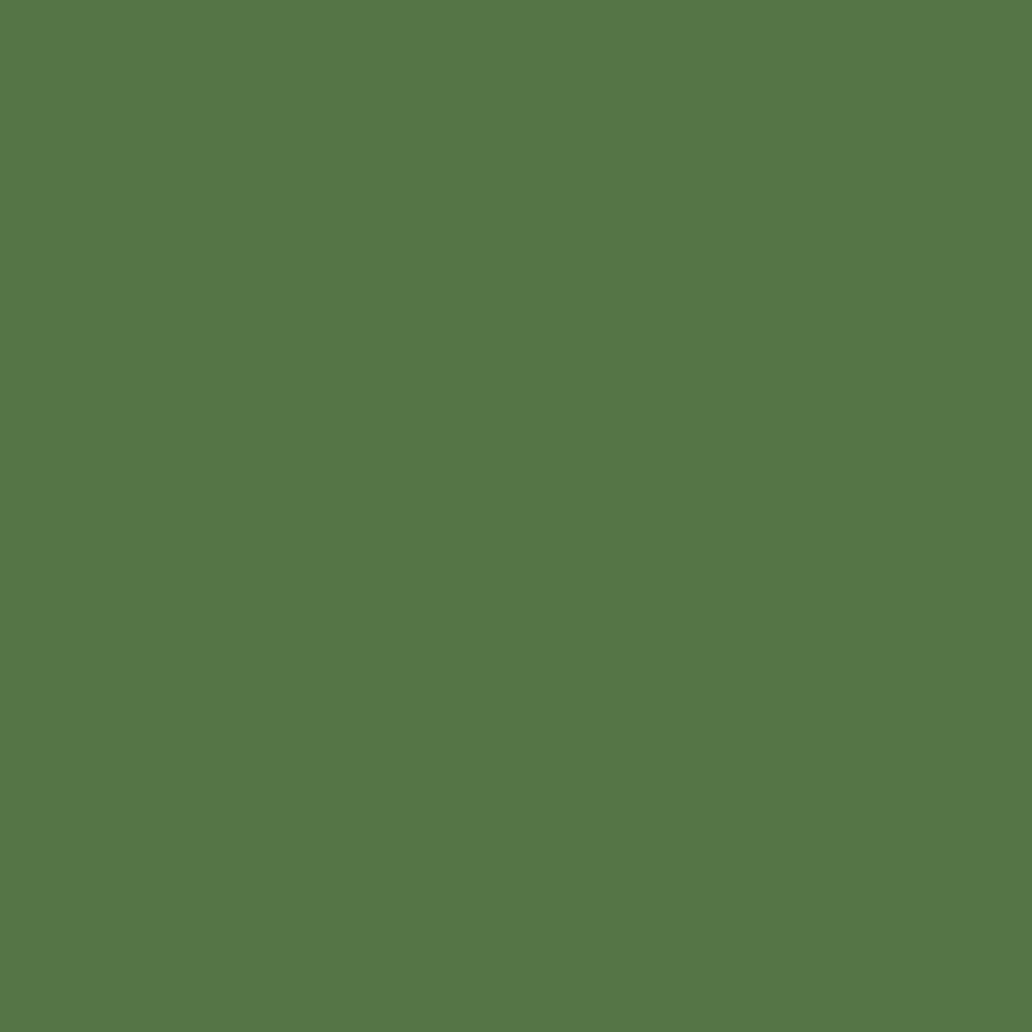 Tinta em spray RAL 6010 verde relva, 400 ml