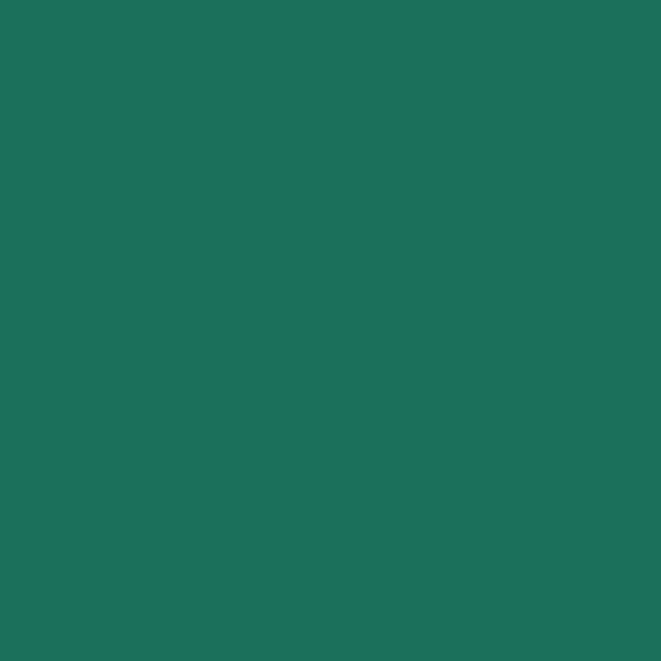 Tinta RAL 6016 verde turquesa, 1L – 601608KR