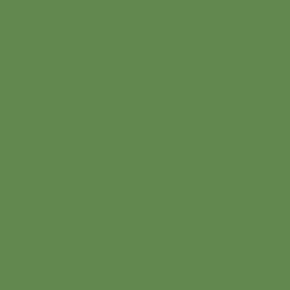 Tinta spray RAL 6017 verde maio, 400 ml