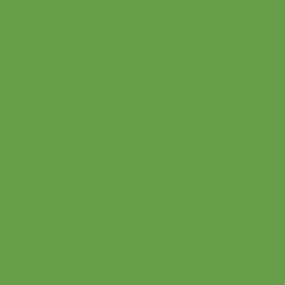 Tinta spray RAL 6018 verde amarelo, 400 ml