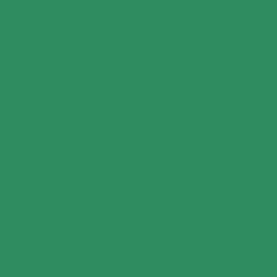 Tinta RAL6024 verde tráfego 1L,