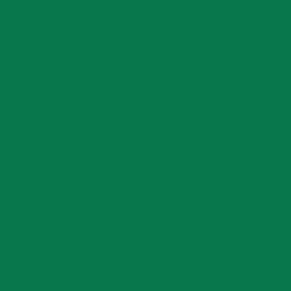 Tinta RAL6029 verde menta, 5L,
