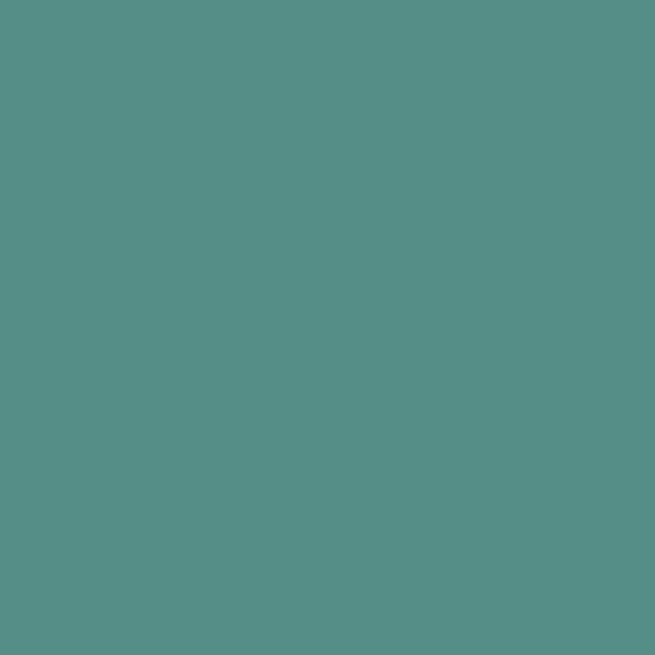 Tinta RAL 6033 turquesa menta, 1L – 603308KR