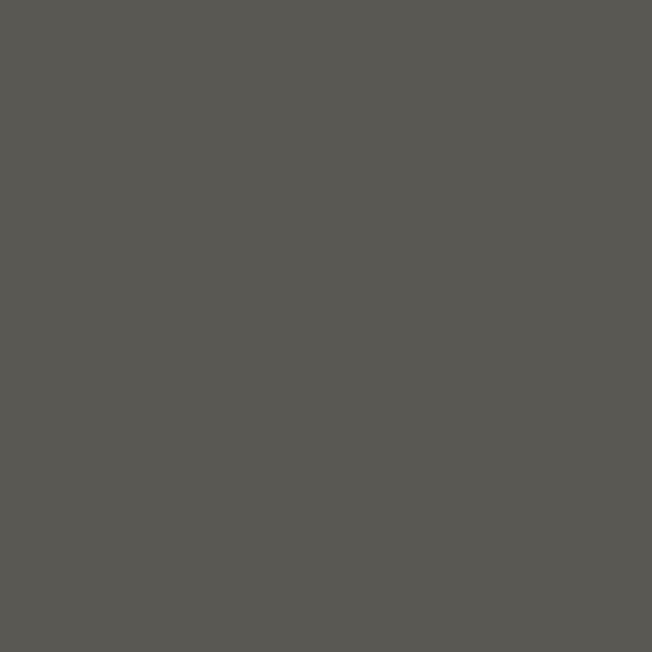 Tinta RAL7022 cinzento umbra 1L,