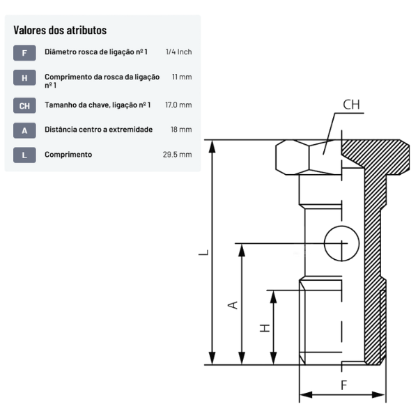 Parafuso oco duplo para encaixe Banjo - HBS014